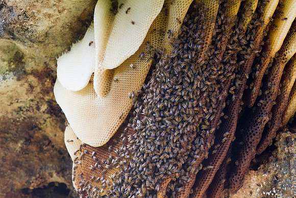 IMG_5782