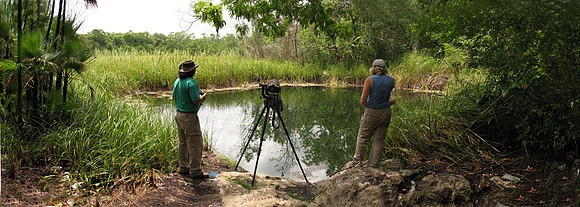 mx-cenote-smoky-brownwood-1024