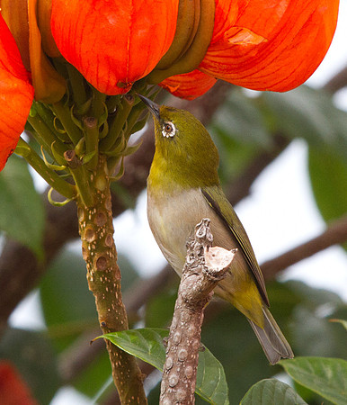 IMG_3888