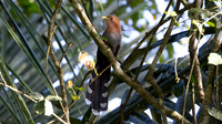 IMG_6207