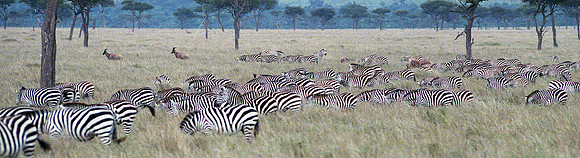 1988 Africa  img331-1920-sharp