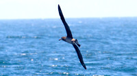 IMG_8616