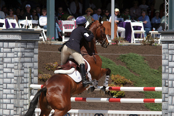 29 kristen was leader sj img_3285jpg28