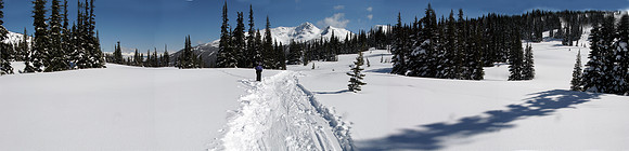 BC-Pano8
