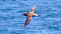IMG_8610