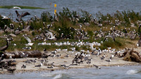 IMG_4358