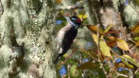 IMG_0637