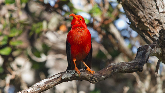 IMG_3115