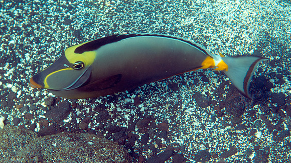 IMG_4449