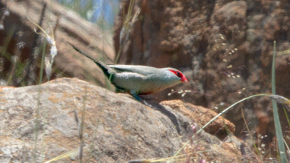 IMG_5311