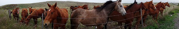 20140211_161655
