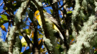 IMG_0655