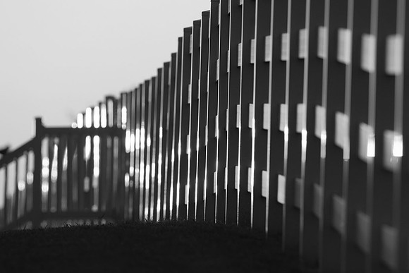 IMG_0324