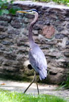 IMG_1157
