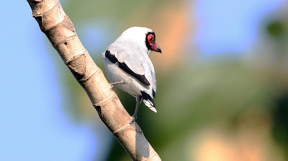 IMG_3404