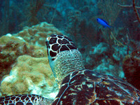 IMG_1652at57