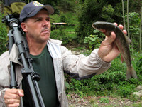 Rainbow Trout dropped by Osprey