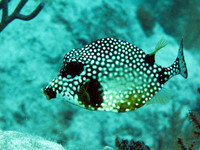 IMG_1777dd69