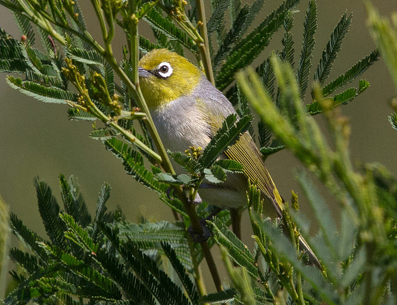 IMG_9193