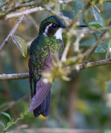 IMG_1415