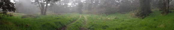 20140203_142502a