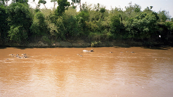1988 Africa  img328