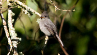 IMG_0669
