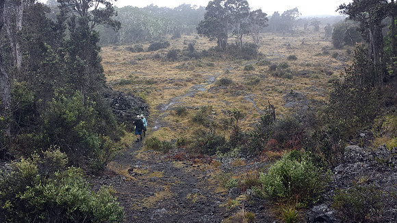 Hawaiian Kīpuka surrounding the Pu’u O’o Trail