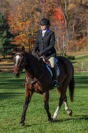 BotH2016_7692