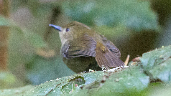 IMG_2880