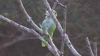 IMG_5016