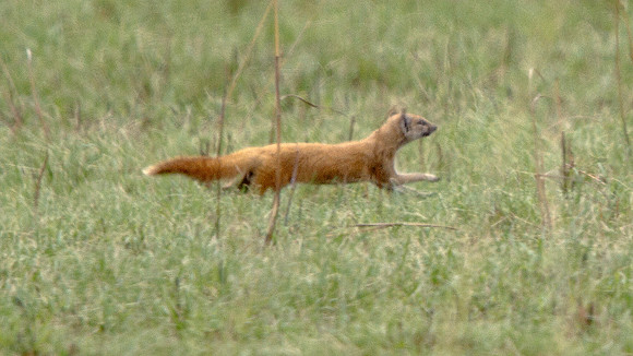 IMG_1151