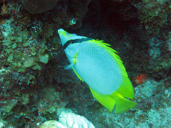 IMG_1684bb59