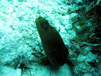 IMG_1821ed72