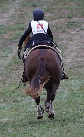 3Q2A2011