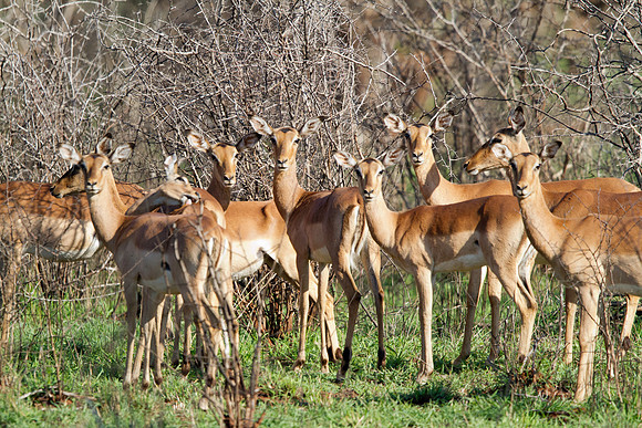 IMG_9838