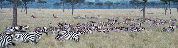 1988 Africa  img331-1024