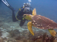 MVI_4535ba